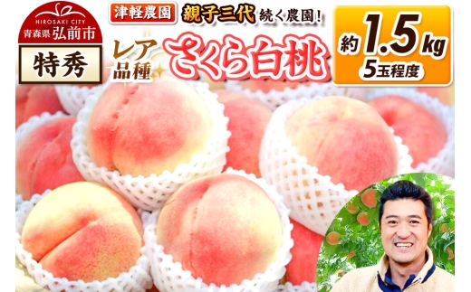 【26年9月発送】桃 約1.5kg(5玉程度) 青森【2026年産 レア品種 さくら白桃】もも 特秀 くだもの フルーツ 果物 津軽農園 採れたて 農家直送 [おいしい ピーチ フルーツ もも 果実 果物 青森 津軽 桃 白桃 美味]