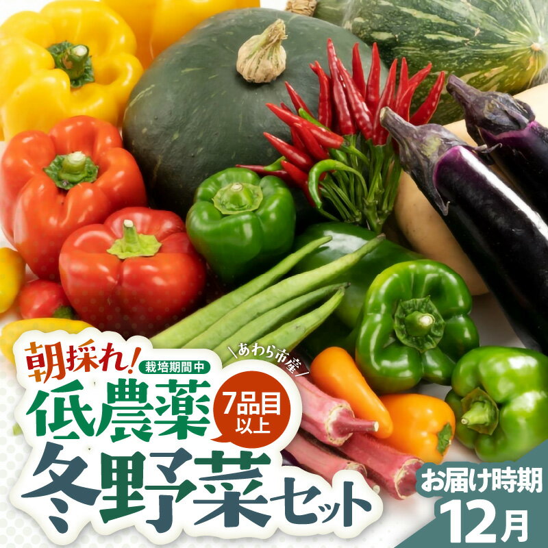 【ふるさと納税】【先行予約】農家直送 冬野菜セット 1箱 7品目以上 《元気に育った新鮮野菜！》／ 季節 冬 野菜 ボックス BOX セット セレクト 農家 おまかせ 多品目 旬 詰め合わせ ※2026年12月上旬以降発送