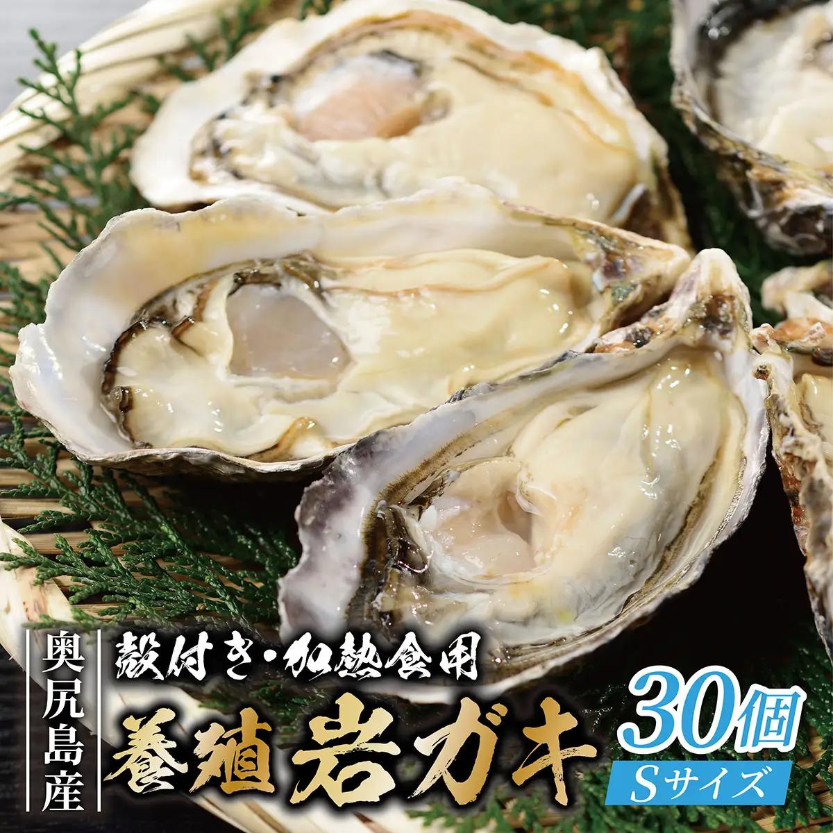 【先行予約 2025年7月20日より発送】奥尻島産養殖岩ガキ【Sサイズ】殻付き　30個入り（加熱食用）～豊かな海が育てた海の宝石～ 