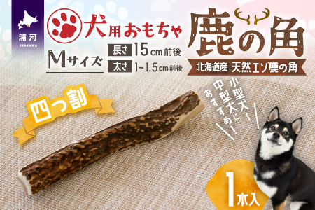 犬用「鹿の角(四つ割り)」Ｍサイズ×1本[53-1354]