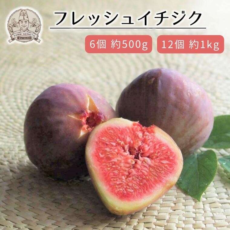 
                  【予約受付】フレッシュイチジク 6～12個入り（品種：ドーフィン）※2025年8月初旬より順次発送
                