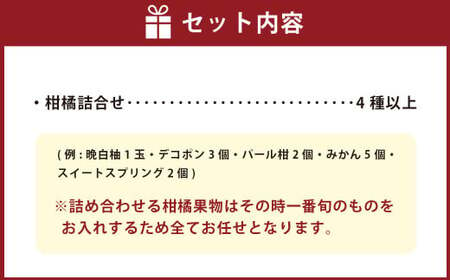 熊本県産 柑橘果物食べ比べセット 4種以上 【2025年1月上旬発送開始】 果物 フルーツ 柑橘 おまかせ 旬 旬のフルーツ