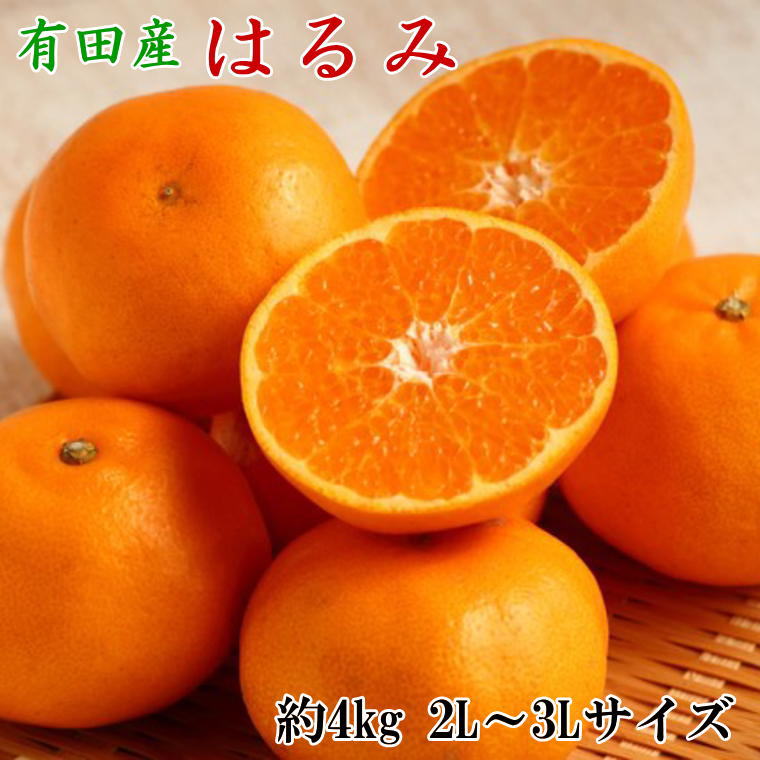 【ふるさと納税】【厳選・濃厚】紀州有田産のはるみ約4kg(サイズおまかせ) ※2026年1月下旬～2026年2月中旬頃より順次発送【tec820B】