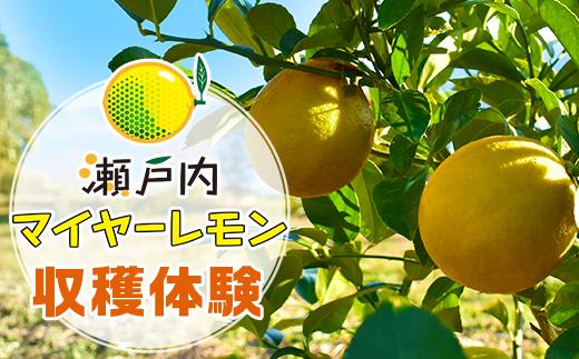 瀬戸内マイヤーレモン収穫体験【株式会社神東ファーム】