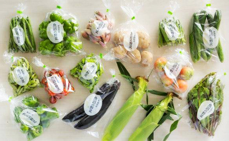 夏野菜詰め合わせ　おまかせセット 野菜　茶豆 とうもろこし トマト なす きゅうり ピーマン ズッキーニ おまかせ 新潟県 十日町市