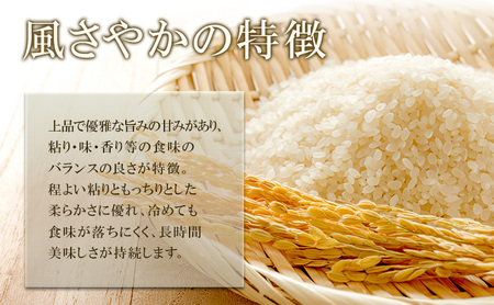 米 令和7年産 長野 風さやか 10kg お米 こめ コメ おこめ 新米 白米 精米 オリジナル オリジナル米 ブランド米 かぜさやか 信州 長野県 上田市 上田