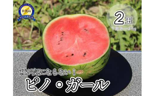 
                  【先行予約】佐渡西三川・松丘農園の名産品小玉スイカ「ピノ・ガール」２個（1玉2～3kg）
                