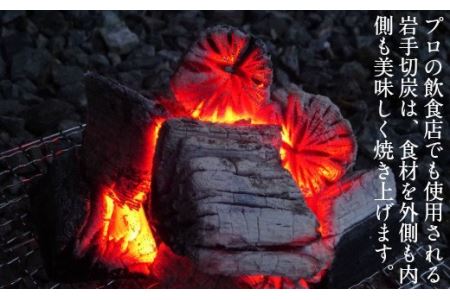 【BBQ焼き鳥セット】岩手県産鶏もも串（生冷凍）20本＆岩手切炭（ＧＩ）3ｋｇ