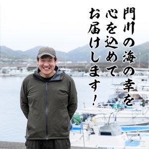 【AS-8】宮崎県産！小うるめ丸干し(計1.2kg・300g×4袋)【岩田水産】