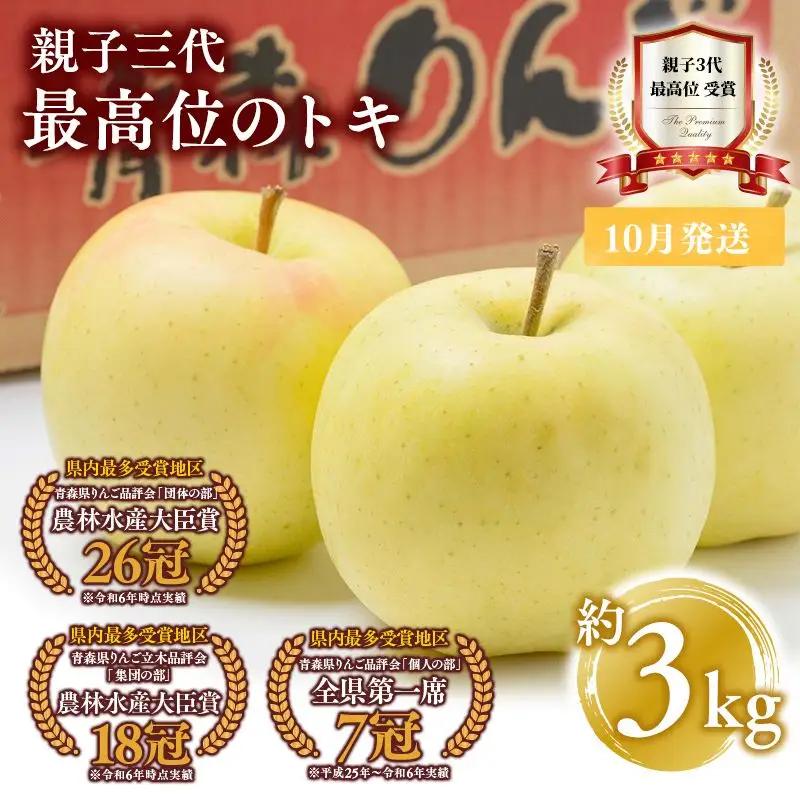 りんご 家庭用 トキ 約3kg 【hi-0003-028】