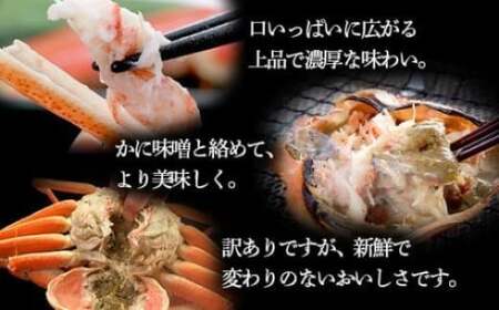 【生産者応援！期間限定増量中！】【訳あり】北海道噴火湾産 活オオズワイガニ 3.0ｋｇ詰め込みセット ＜道産ネットミツハシ＞ かに カニ がに 森町 ふるさと納税 北海道 ずわいがに mr1-0451