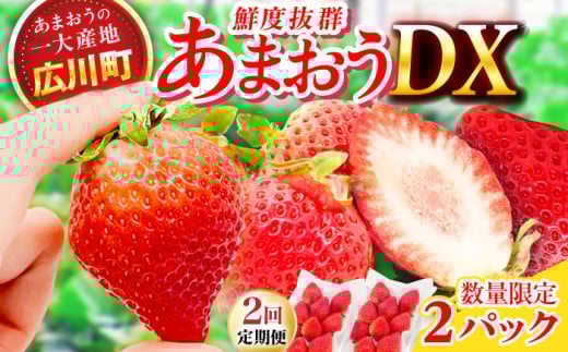 【2回定期便】博多あまおう 1ケース（270g×2P） いちご 苺 フルーツ 果物 くだもの イチゴ ふるーつ 旬 福岡県産 小分け 広川町 / JAふくおか八女農産物直売所どろや [AFAB018]