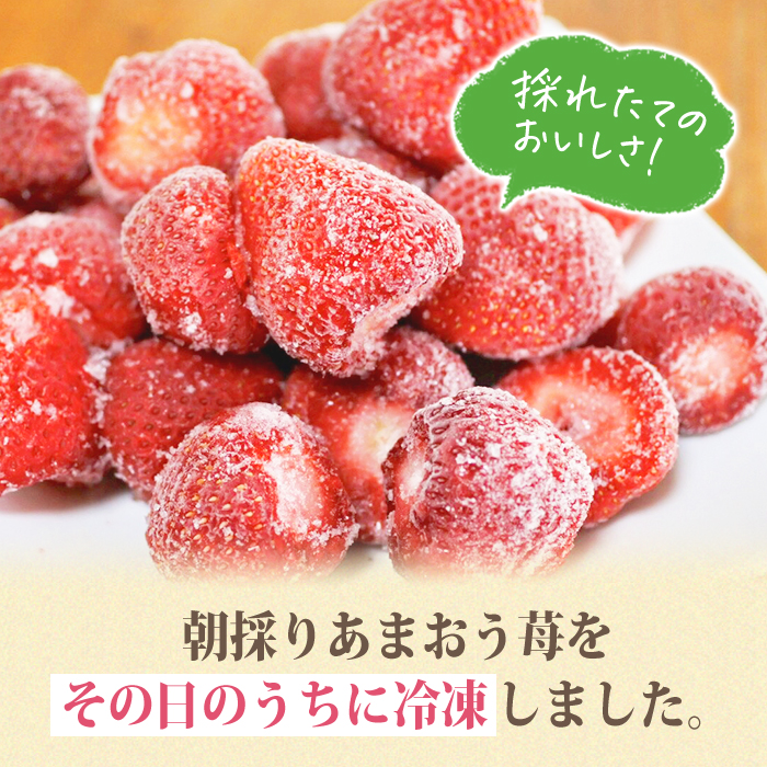 冷凍あまおう (計1kg) いちご イチゴ 苺 あまおう 冷凍いちご 冷凍イチゴ 国産 福岡県 特別栽培 果物 フルーツ アイス ジャム 冷凍フルーツ ＜離島配送不可＞【ksg1785】【うるう農園】