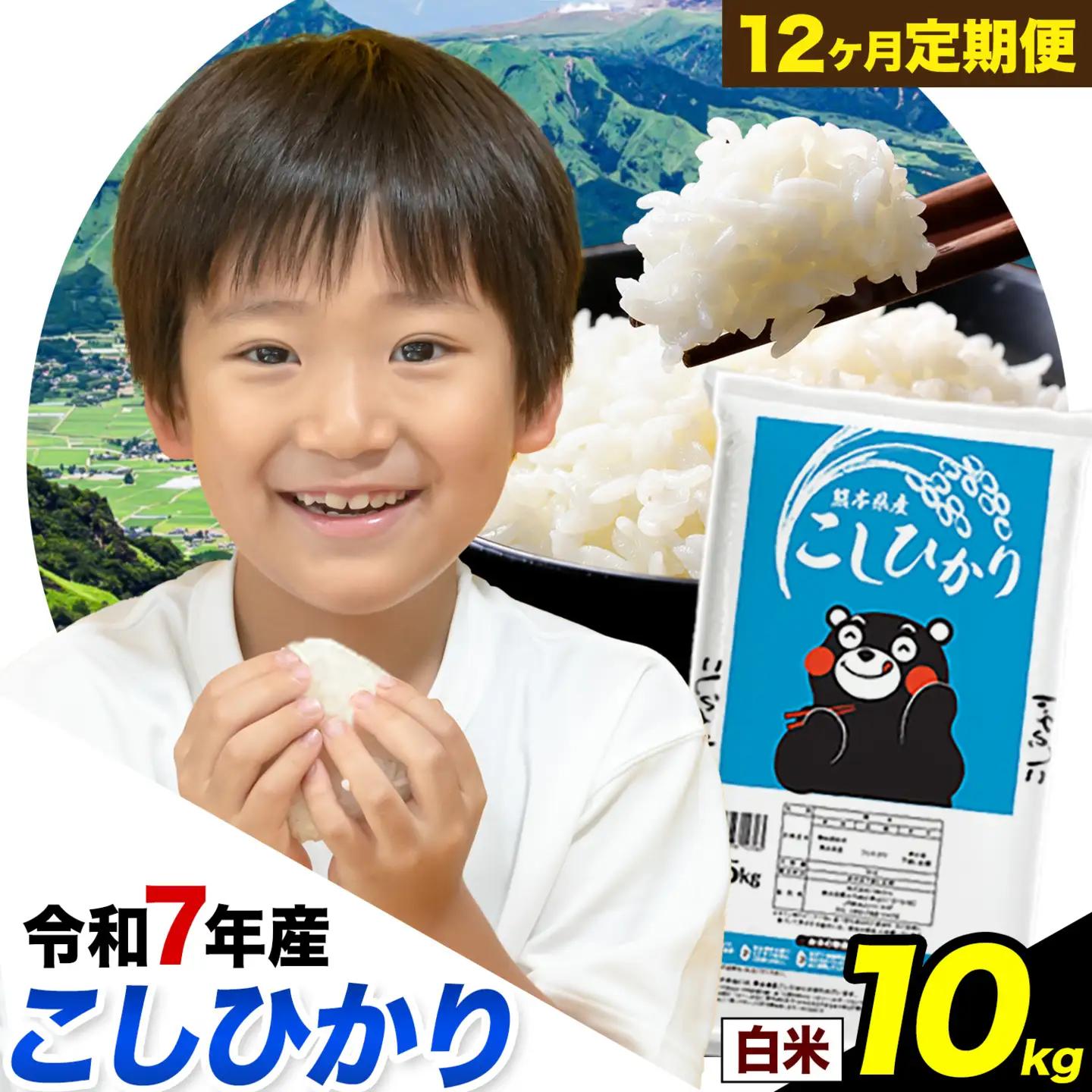 【12ヶ月定期便】令和7年産 定期便 こしひかり 白米 定期便 10kg 精米 熊本県産(南阿蘇村産含む)  南阿蘇村《お申込み翌月から出荷》｜人気米 熊本県産米  生活応援米