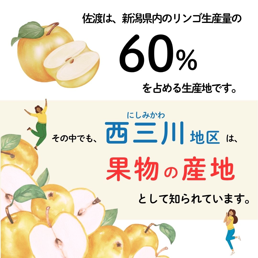 【10月下旬以降発送】佐渡 西三川・松丘農園のりんご「シナノゴールド」12個から20個 計5kg196042-0007