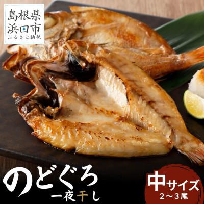 ふるさと納税 浜田市 のどぐろ一夜干し個包装2〜3枚「中型サイズ120〜200gサイズ」