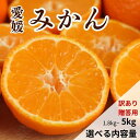 【ふるさと納税】 【高評価★4.30】 期間限定 愛媛みかん 1.8kg 3kg 5kg 【発送期間：2024年10月20日～なくなり次第終了】 訳あり 贈答 果物 柑橘 みかん 蜜柑 フルーツ ゼリー ジュース オレンジ 甘い 糖度 不揃い 傷 愛媛 愛南町 吉本農園