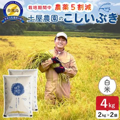 ふるさと納税 佐渡市 【新米】令和8年産 佐渡島産こしいぶき 白米4kg 土屋農園 農家直送 栽培期間中農薬5割減