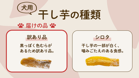 犬のおやつ 国産 干し芋 無選別 訳あり 800g (100g × 8袋) 　【2026年6月発送開始】