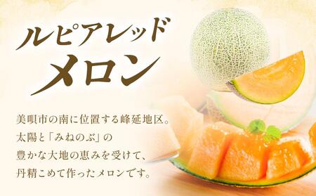 【2025年発送】【先行予約】【数量限定】美唄市産ルピアレッドメロン２玉（赤肉）