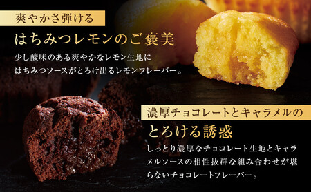 【ギフト包装対応】ザ・スウィーツ　蜜フィナンシェ（１２個）