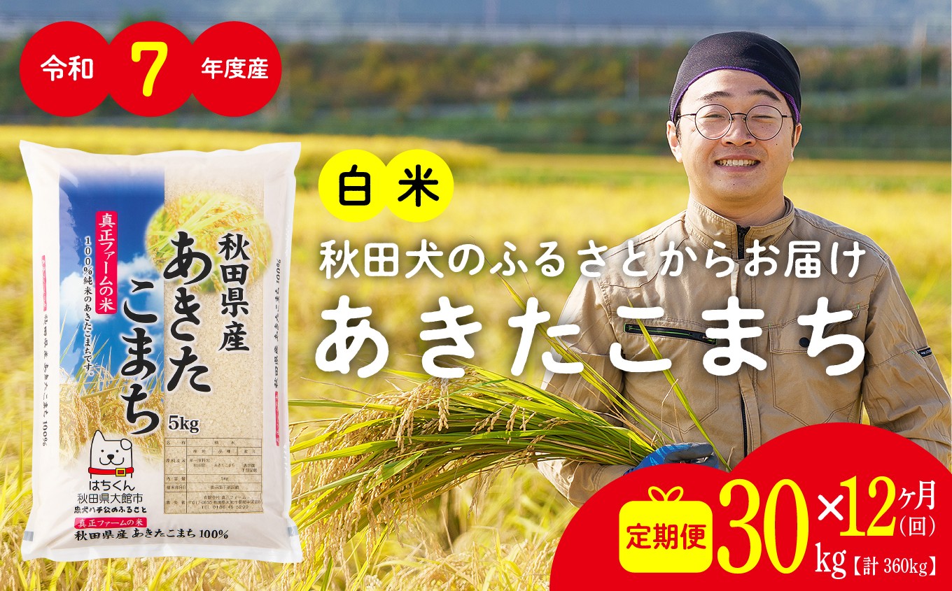 
                  【定期便12ヶ月】秋田県産あきたこまち(白米)30kg　/ 米 30kg 白米 令和7年産 秋田県産 あきたこまち 5kg×6袋 おにぎり 大館 東北 秋田 小分け こわけ 大館市 30キロ 30ｷﾛ 30きろ
                