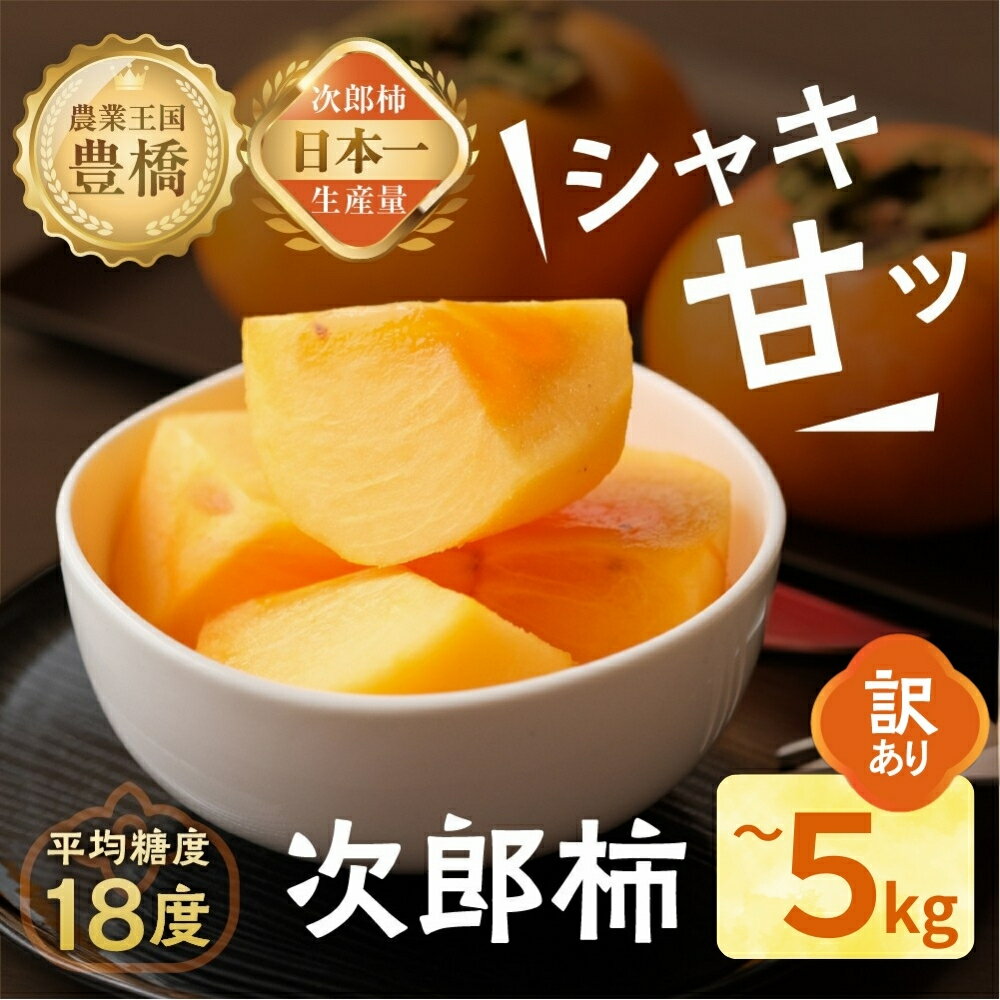 【ふるさと納税】≪先行予約≫ 次郎柿 訳あり 選べる容量 【小箱:約16個 / 平箱:約20~25個】4kg 5kg ほぼ 種無し 柿 カキ かき 果物 フルーツ 旬 甘い スイーツ おやつ 高糖度 特産品 産地直送 わけあり ワケあり 愛知県 豊橋市