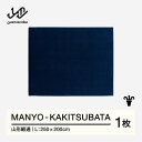 【ふるさと納税】 【山形緞通】MANYO - KAKITSUBATA (L) [oc-mykal]