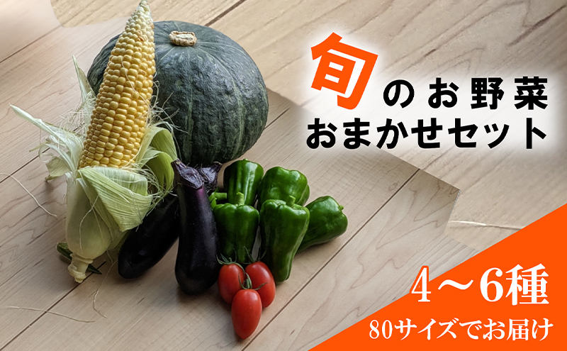 
            ＼レビュー投稿でお米プレゼント／旬の野菜おまかせセット4～6種 80サイズ箱でお届け 猪苗代産 野菜 新鮮 野菜セット 農家直送 産地直送 詰め合わせ おまかせ[№5771-1346]
          