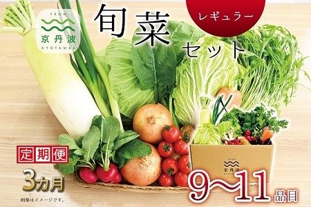 【3回定期便】 京丹波 旬菜セット レギュラー 9～11品目【 野菜 野菜定期便  】