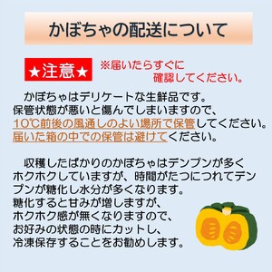 【先行予約】北海道 十勝 秋の味覚野菜詰合せ（南瓜・玉ねぎ）セット【2026年秋出荷】
