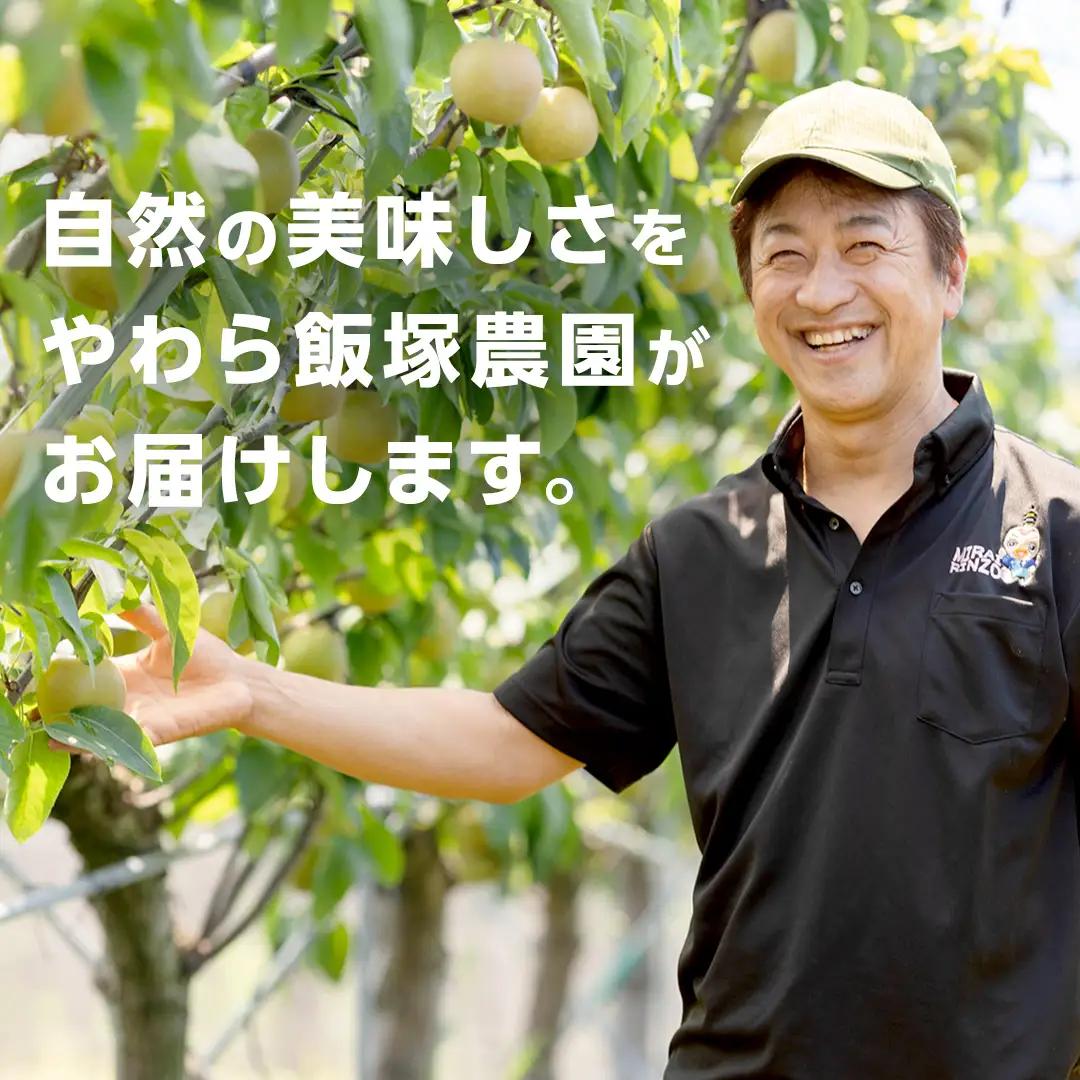 【先行予約】【 訳あり 】 ご家庭用 朝採れ ぶどう （品種おまかせ） 計 2kg 以上 （2026年8月下旬から発送開始）