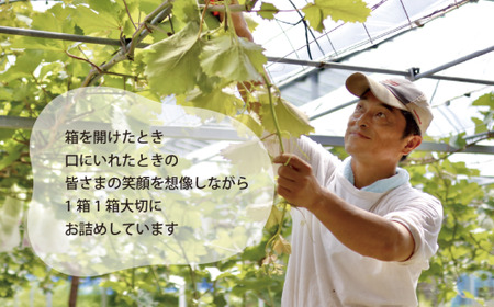 【厳選品】大粒シャインマスカット 1房 700g～ (岡山県産) 【KF-B060-03】