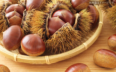 栗きんとん 18個 （6個入り×3箱） [AWAD003] 栗 和菓子