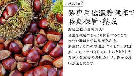 熟成で糖度の上がった 粗むき栗 1kg (200g × 5) ( 冷凍真空包装 ) 栗 栗ご飯 むき栗 栗 和栗 フルーツ 秋の味覚 お手軽