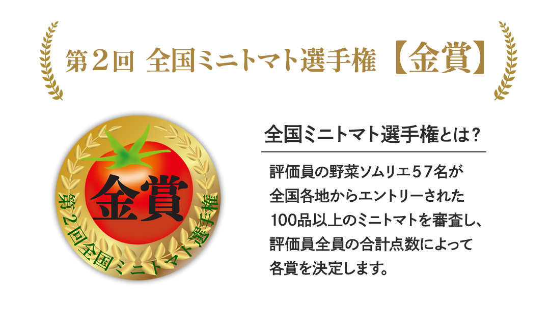 【母の日専用】 スーパーフルーツミニトマト 小箱 約1kg ×1箱 《5月4日～10日お届け メッセージカード付》 ミニトマト フルーツトマト ブランドトマト 野菜 母の日 ギフト 贈り物 プレゼント