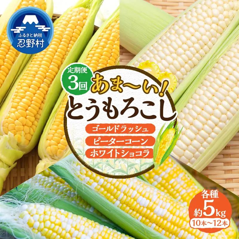 ＼＼★セレクト定期便(月3回お届け)★ 2026年先行予約／／ 富士北麓忍野村の気候、水、自然で作られた朝採りトウモロコシ（セレクト便）《約5kg 10～12本》