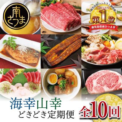 ふるさと納税 南さつま市 【定期便】海幸山幸どきどき定期便(全10回)