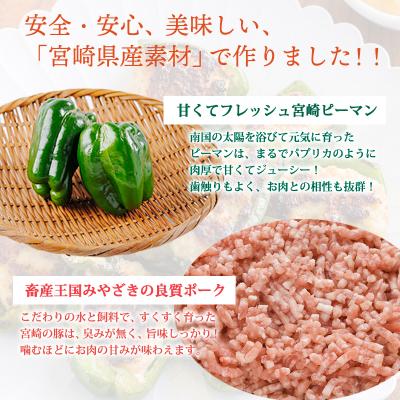 ふるさと納税 高原町 焼くだけ簡単 手作りの美味しさ宮崎県産素材のピーマンの肉詰め1kg TF823 |  | 01