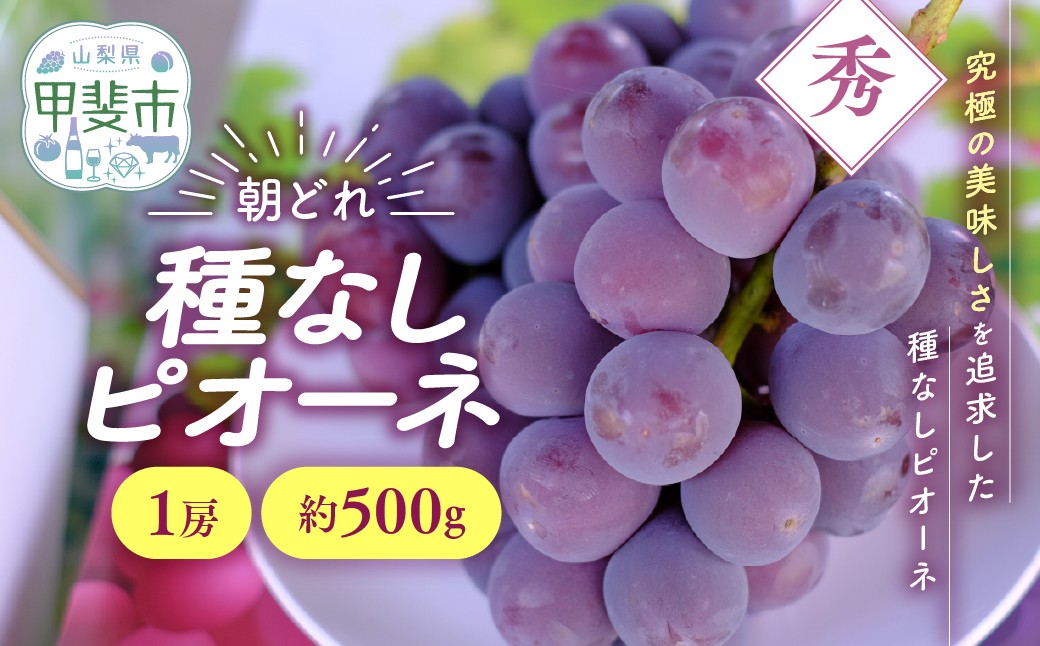 
                  【（2026年/令和8年）発送＜先行予約＞】 種なし ピオーネ 1房 約500g 先行予約 先行 予約 山梨県産 産地直送 フルーツ 果物 くだもの ぶどう ブドウ 葡萄 新鮮 人気 おすすめ 国産 贈答 ギフト お取り寄せ 令和8年発送分 山梨 甲斐市 AV-32
                