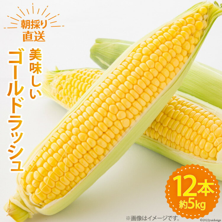 【ふるさと納税】【期間限定発送】 野菜 ゴールドラッシュ 12本 約5kg [ラハマン農園 山梨県 中央市 21470839] トウモロコシ とうもろこし やさい 期間限定 季節限定 数量限定 産地直送