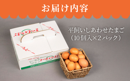 【月1回20個×12回 定期便 】 平飼い 「 しあわせ たまご 」計240個＜松本養鶏場＞ [CCD031]