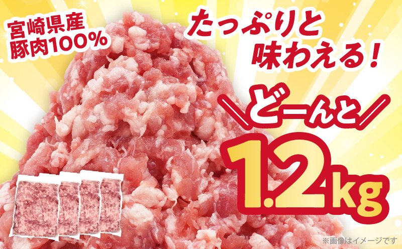 宮崎県産豚ミンチ肉 計1.2kg(300g×4パック) 肉 豚 豚肉 国産_T025-041