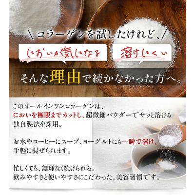 ふるさと納税 山形市 オールインワンコラーゲン 120g 2個セット FY25-416 |  | 03