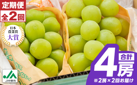 【発送月固定定期便】〈2026年発送〉シャインマスカット2房1kg以上　JA中野市から直送全2回【配送不可地域：離島】【4059319】