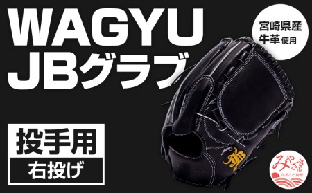 宮崎県産牛革使用 WAGYU JB 硬式用 グラブ 投手用 JB-001T(ブラック/右投げ用)