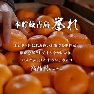 【2027年3月上旬より順次発送】三ケ日みかん「誉れ」 約4kg