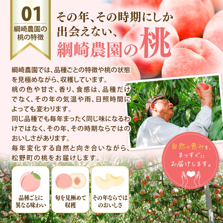 【2026年出荷分先行予約】愛媛の桃どころ 「綱崎農園」から届ける大玉桃 約2kg ｜ ふるさと納税 桃 冷蔵 松野町 フルーツ ギフト ※北海道・沖縄・離島への配送不可 ※2026年6月中旬～8月中