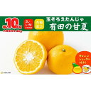 【ふるさと納税】甘夏 玉ぞろい 箱込 10kg ( 内容量約 9.2kg ) 秀品 優品 混合 2L L M サイズのいずれか 和歌山県 産地直送 ［皮むき器付き］ ［みかんの会］ | フルーツ 果物 くだもの 食品 人気 おすすめ 送料無料