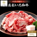 【ふるさと納税】【おおいた和牛】赤身（ウデ・モモ）切り落とし 500g｜肉質4等級以上 国産和牛 | 大分県 ふるさと 納税 支援品 返礼 返礼品 名産 特産 名産品 ご当地 ご当地グルメ お取り寄せ 和牛 牛肉 お肉 切り落とし ウデ モモ すき焼き 湯布院 由布院